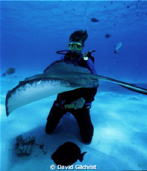 My son, Andrew, having a close encounter at Sting Ray City by David Gilchrist 